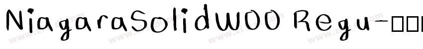 NiagaraSolidW00 Regu字体转换